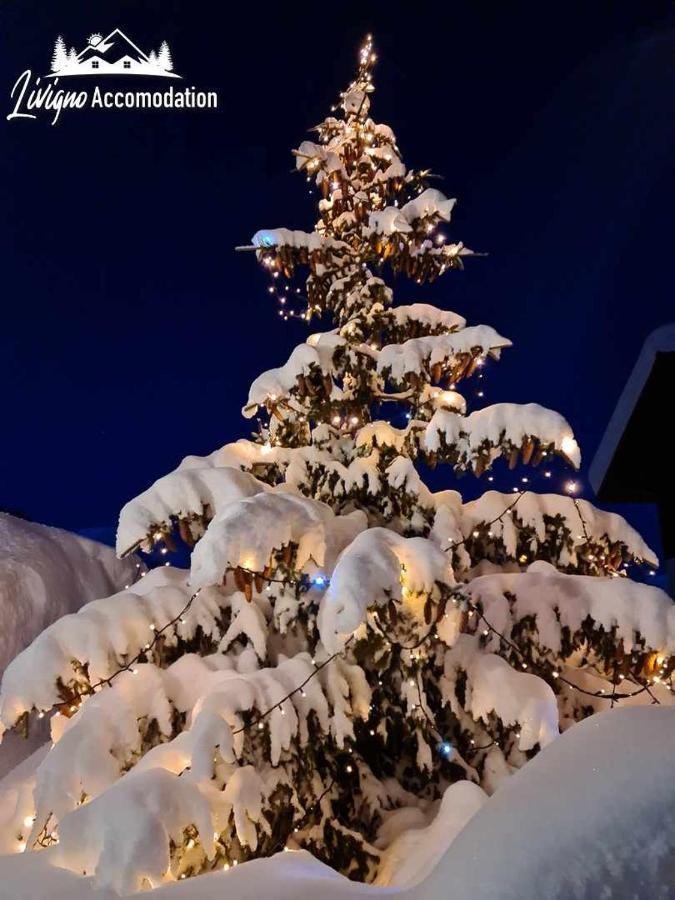 Alpen Royal Raggiungibile Con Gli Sci Ai Piedi Aparthotel Livigno Exterior foto